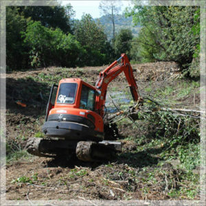 Land Clearing